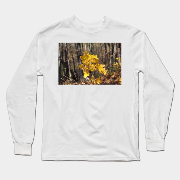 maple gold Long Sleeve T-Shirt by srosu